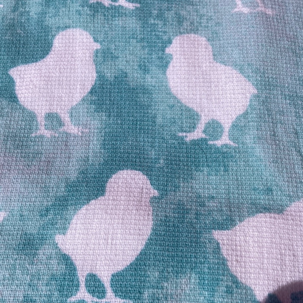 Casaba chicks on tie-dyed light green field all cotton dish towels set NWT